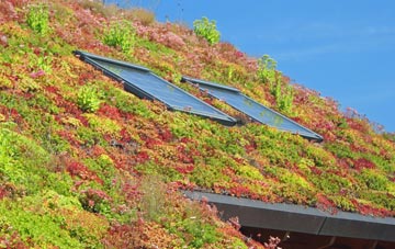 Shawbirch living roof systems